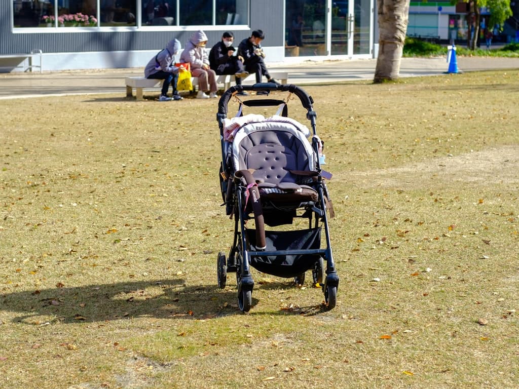 Panduan Mendaftarkan Kelahiran Bayi di Jepang