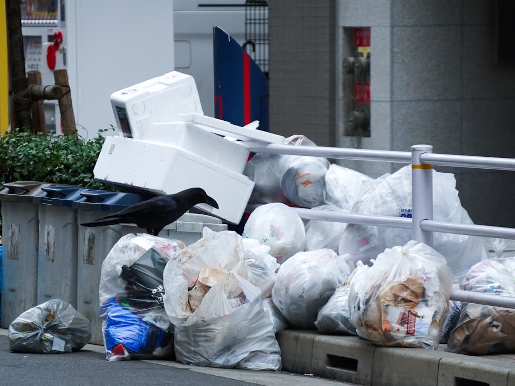 Aturan Buang Sampah dan Daur Ulang di Jepang