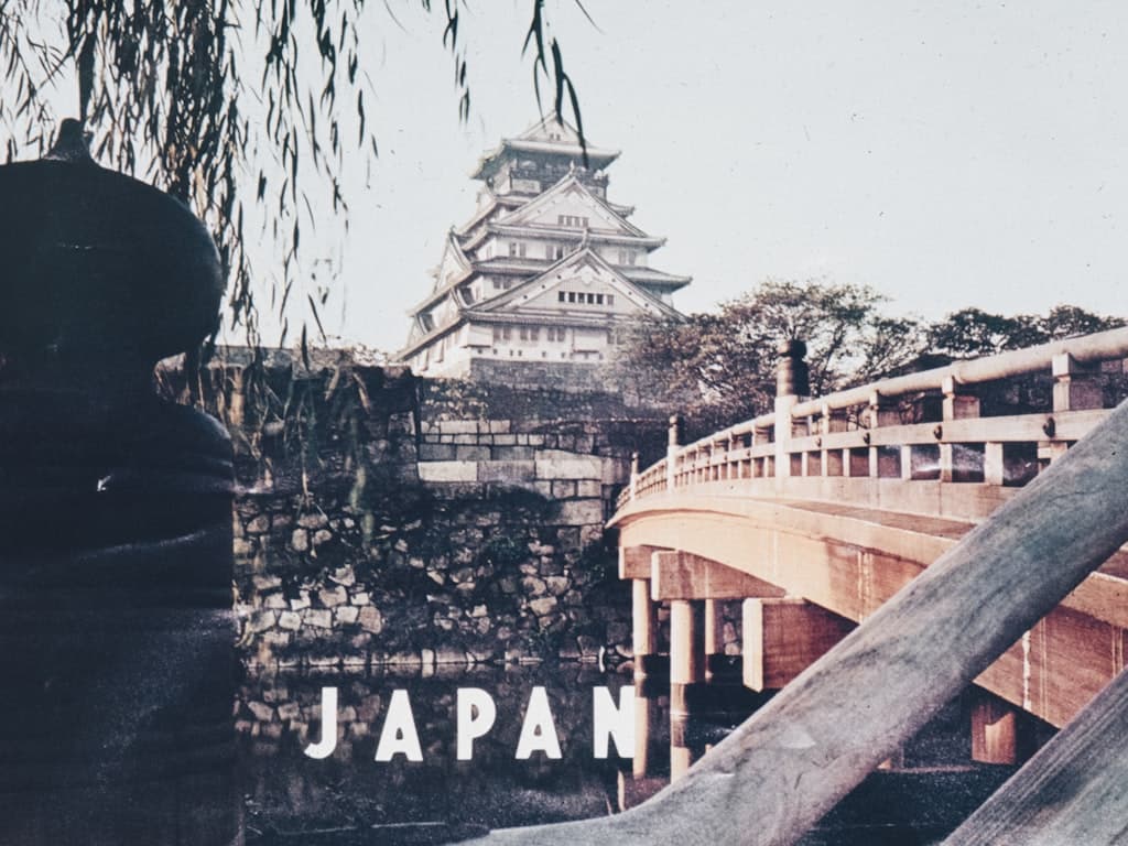 Panduan Lengkap Visa SSW untuk Orang Indonesia